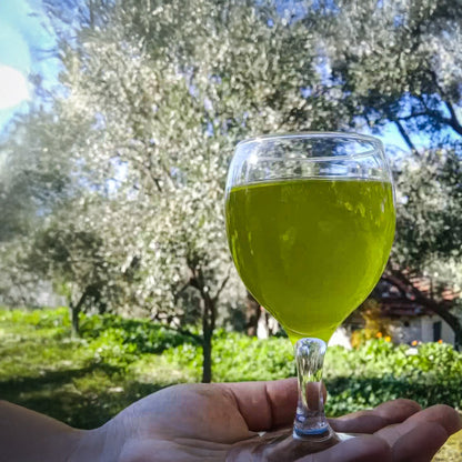 2025_2026 Kasım ayı Naturel Soğuk Sıkım Olgun Hasat Premium Zeytinyağı 5 Lt.