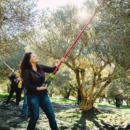 2025_2026 Kasım ayı Naturel Soğuk Sıkım Olgun Hasat Premium Zeytinyağı 5 Lt.